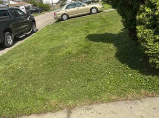 Dennis K.'s lawn maintenance service result