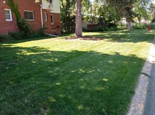 Gregg G.'s lawn maintenance service result