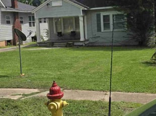 Antonia E.'s turf care service result