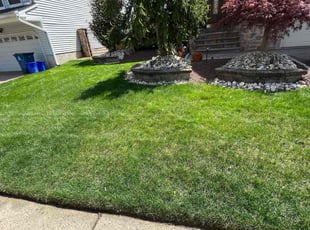Mindy T.'s lawn maintenance service result