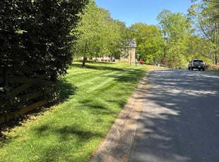 Beth S.'s lawn care service result