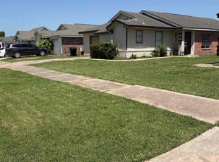 Mitchell P.'s lawn care services service result