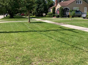 Jesse C.'s turf care service result