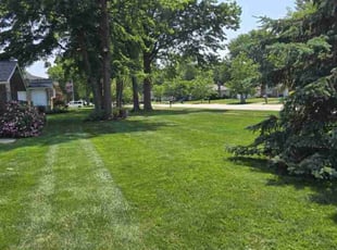 Isaiah F.'s lawn care service result