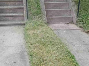Barbara H.'s grass cutting service result