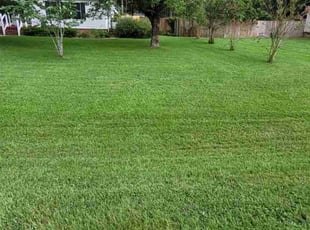 Teresa H.'s turf maintenance service result