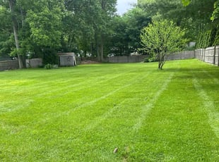 Ashley M.'s lawn maintenance service result