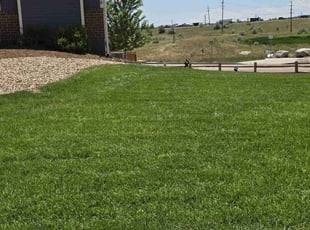 Scott D.'s lawn service service result