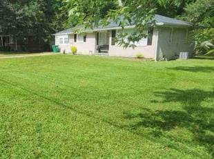 Renee I.'s lawn service service result