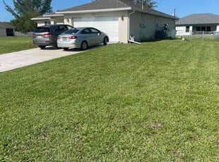 Dan M.'s grass maintenance service result