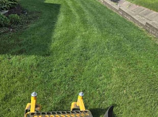 Alexis R.'s grass cutting service result