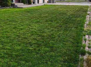 Jessie R.'s lawn maintenance service result