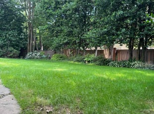 Lisa L.'s grass maintenance service result