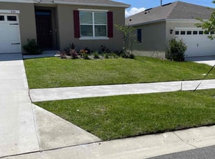 Areetha C.'s turf care service result