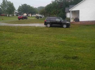 Dovey W.'s turf care service result