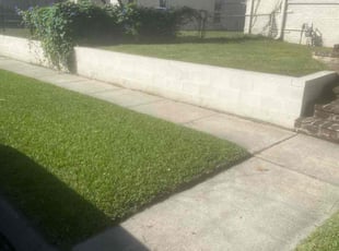 Andrea R.'s lawn care services service result