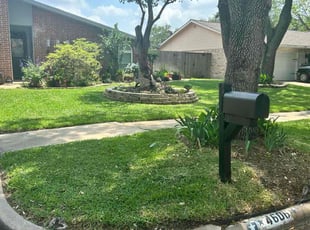 Shay T.'s grass maintenance service result