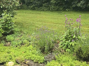 Linda F.'s lawn service service result