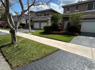 Maria C.'s lawn care service result