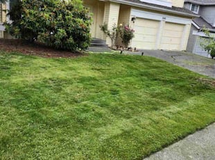 Ruby M.'s lawn care services service result
