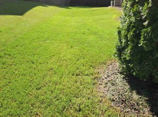 Wendell B.'s lawn care services service result