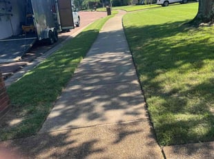 Adam C.'s turf maintenance service result