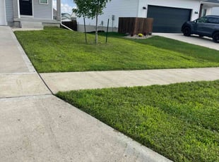 Timothy R.'s turf maintenance service result