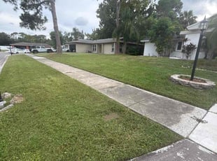 Dixie H.'s lawn care service result