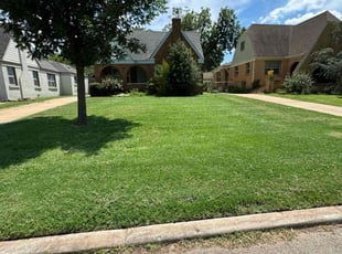 Shannon S.'s turf care service result