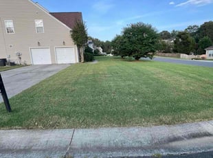 Cindy V.'s turf care service result