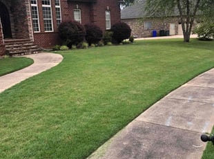 Brigette H.'s grass cutting service result
