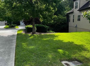 Mary C.'s lawn service service result
