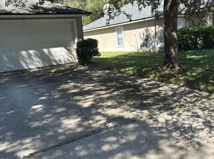 Sean W.'s Bush Trimming service result