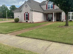 Stephanie T.'s turf maintenance service result