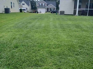 Mike A.'s lawn service service result