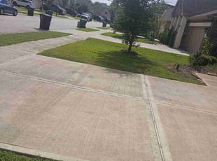 Peter M.'s lawn maintenance service result