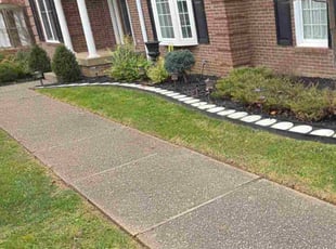 Lawrence S.'s Leaf Removal service result