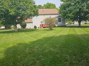 Jennifer G.'s lawn care service result