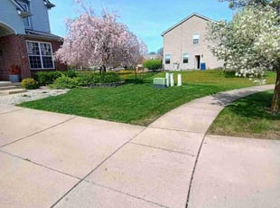 James L.'s turf maintenance service result