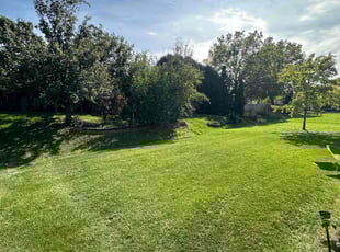 Alvin R.'s turf care service result