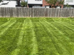 Janet C.'s grass cutting service result