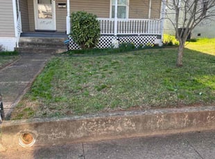Mario C.'s lawn service service result