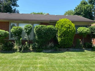 Alex B.'s Bush Trimming service result