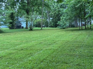 Alice C.'s lawn care service result
