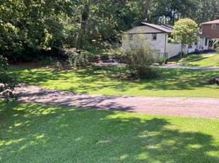 Zanib Z.'s grass cutting service result