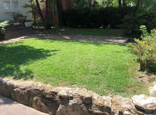 Victorielle P.'s grass maintenance service result
