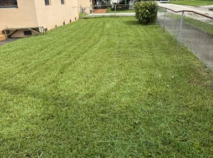 Charlene P.'s lawn care service result
