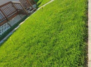 Lna L.'s grass cutting service result