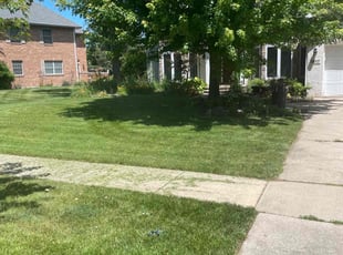 Basma P.'s turf care service result