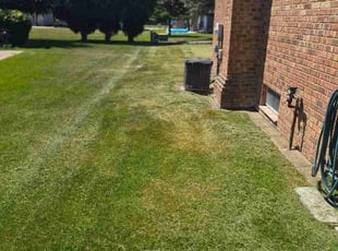 Jeff S.'s turf care service result